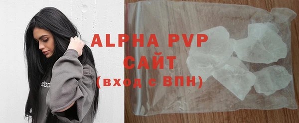спиды Горняк