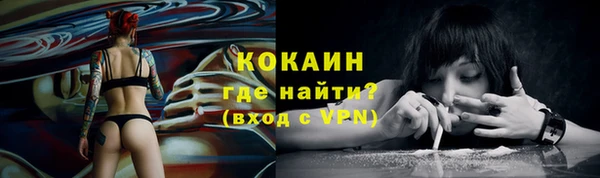 спиды Горняк