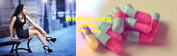 спиды Горняк
