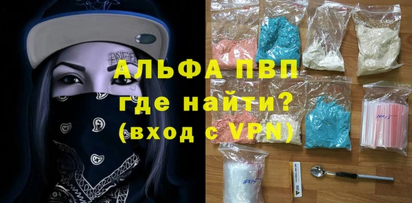 спиды Горняк