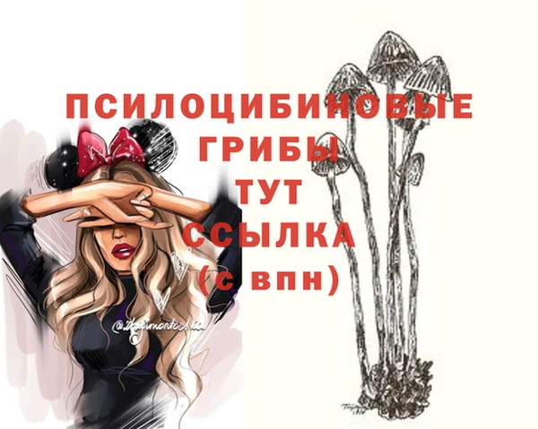 спиды Горняк