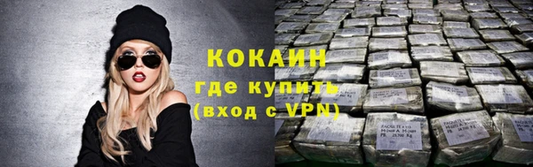 спиды Горняк