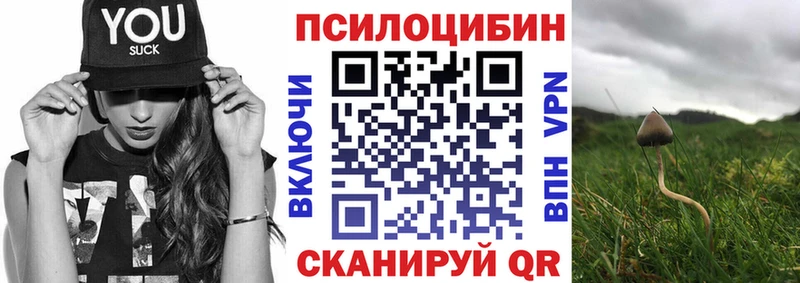 Псилоцибиновые грибы мухоморы  продажа наркотиков  Армавир 